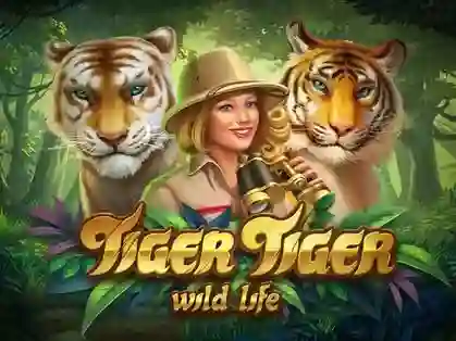 Tiger Tiger Lucky Star casino